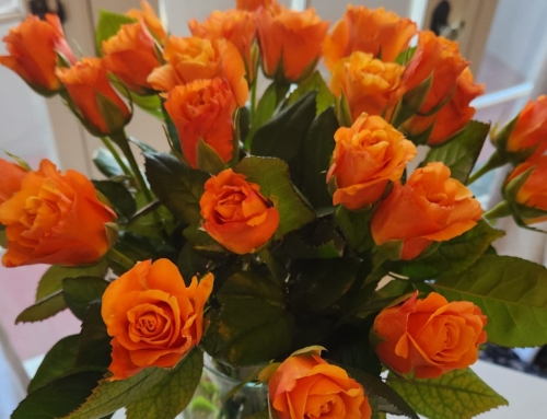 Yearning for Rejection